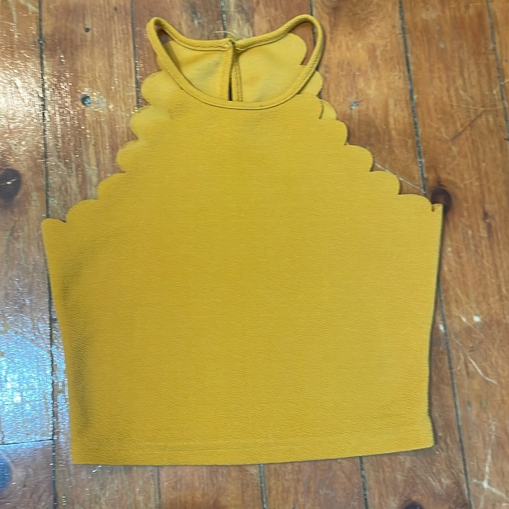 Crop scallop tank